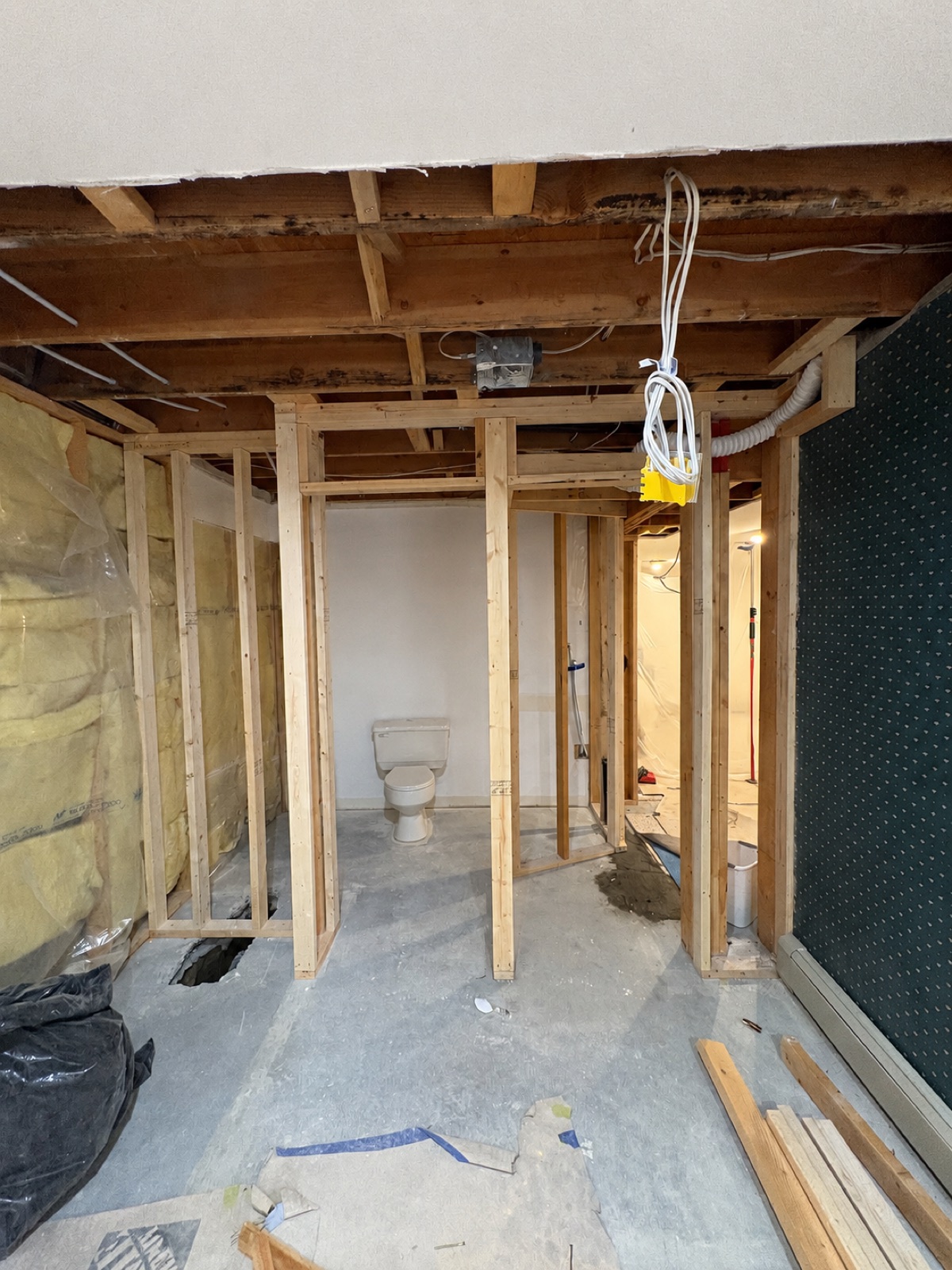 Renovation in progress, new framing alongside existing structure
